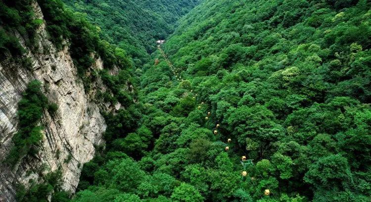 “柴油机加速器和高压油泵是一个吗-你的专属有问必答平台”