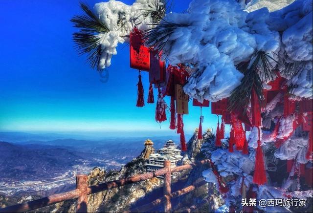 妙鸭相机app下载官网